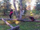 Alaska Martial Arts